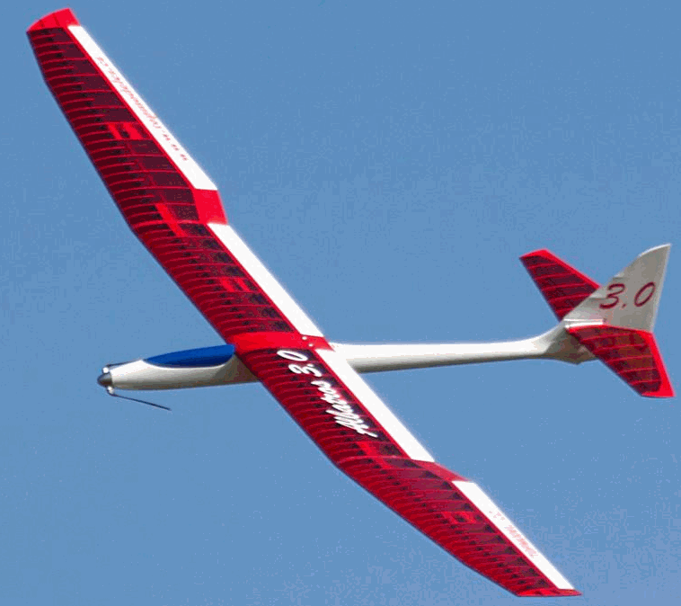 Albatros 300cm ARF